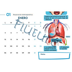 Calendario Ergo 2026